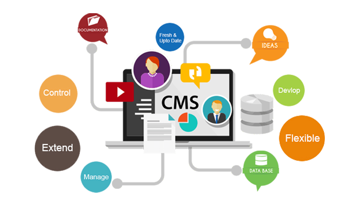 CMS Web Development